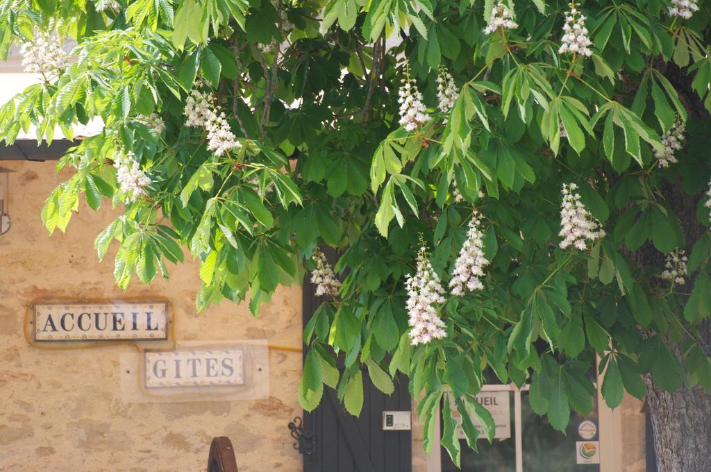 La Ferme Couderc Villa Castelnaud-de-Gratecambe Esterno foto