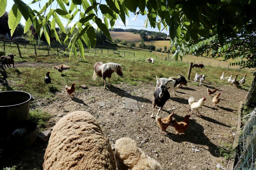 La Ferme Couderc Villa Castelnaud-de-Gratecambe Esterno foto