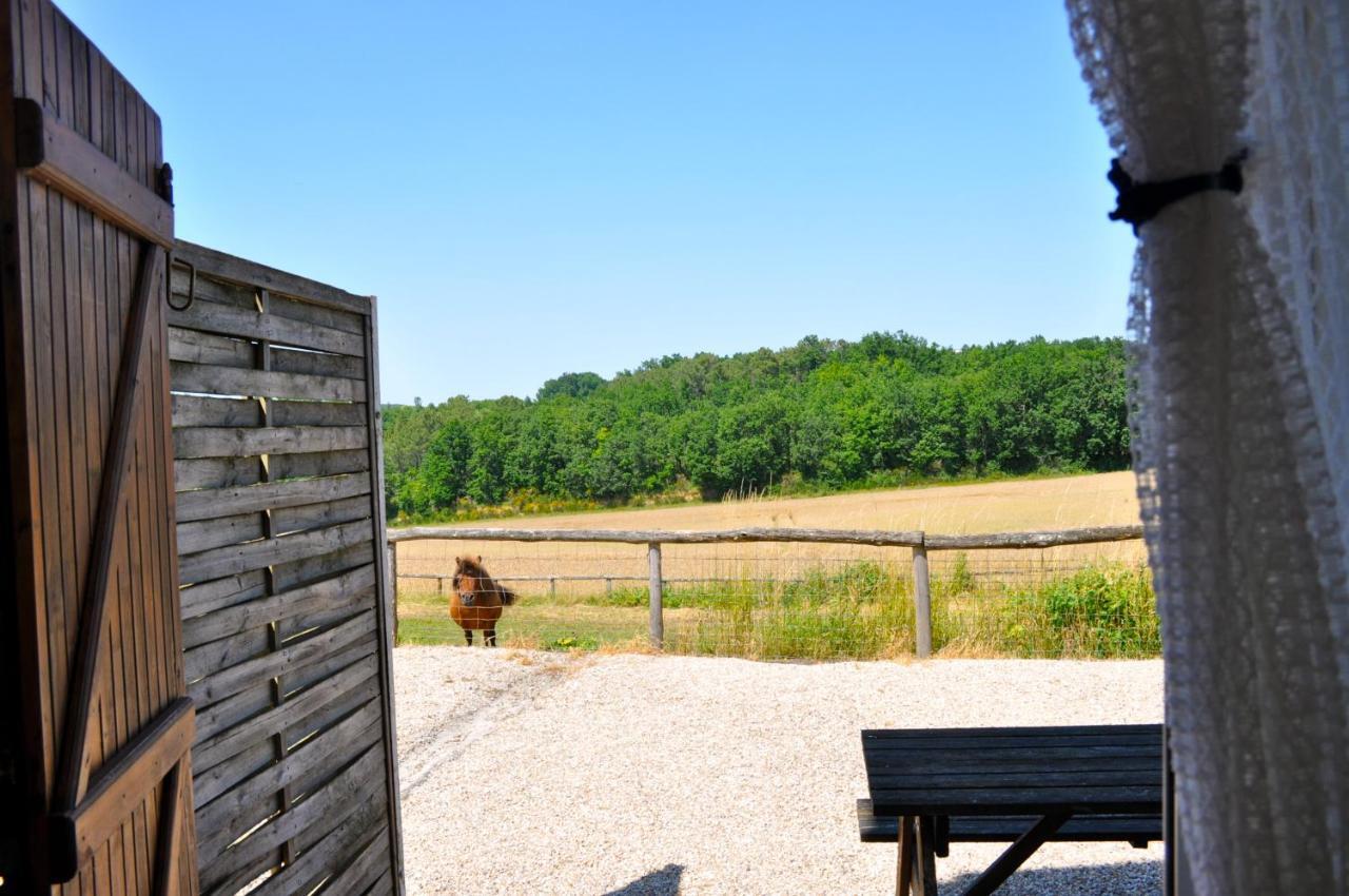 La Ferme Couderc Villa Castelnaud-de-Gratecambe Esterno foto